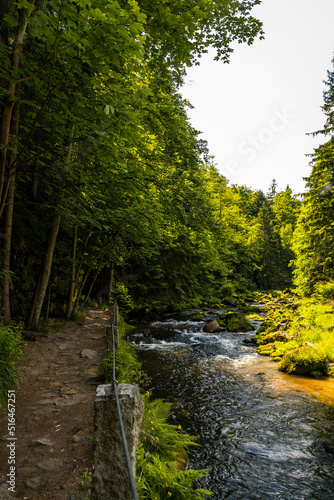 mountain stream in karkonosze national park in poland in summer