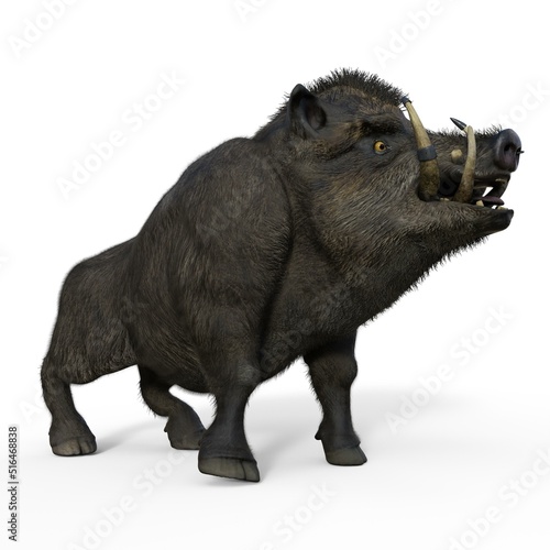 3d-illustration of an isolated battle boar animal really wild and dangerous © Ralf Kraft