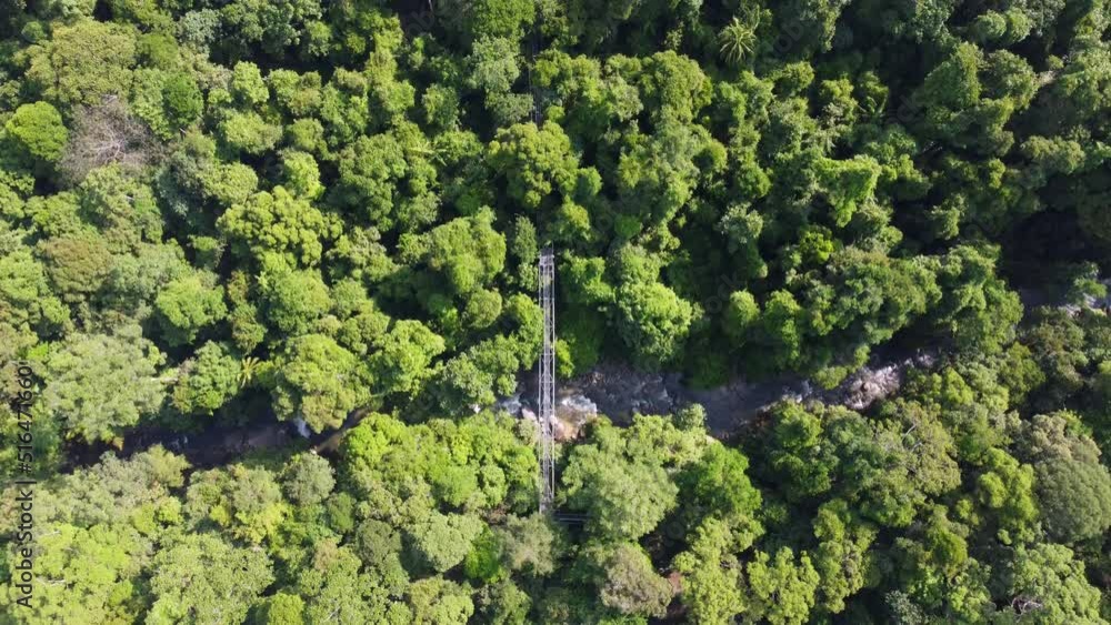 Aerial look down tree top walk elevated steel bridge over stream in forest Aerial look down tree top walk elevated steel bridge over stream in forest