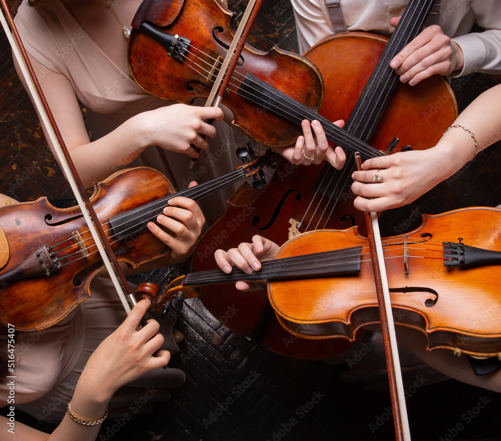 Prestigefyldte At vinde String quartet (violins, cello, alt (viola)), view from above Stock Photo |  Adobe Stock