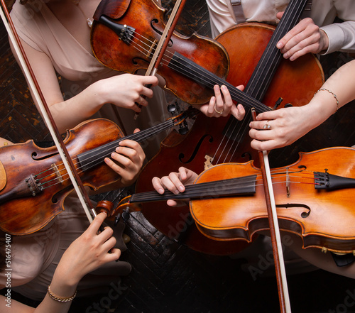 String quartet (violins, cello, alt (viola)), view from above photo