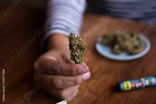 manos sosteniendo marihuana (Cannabis). Concepto de medicina natural.