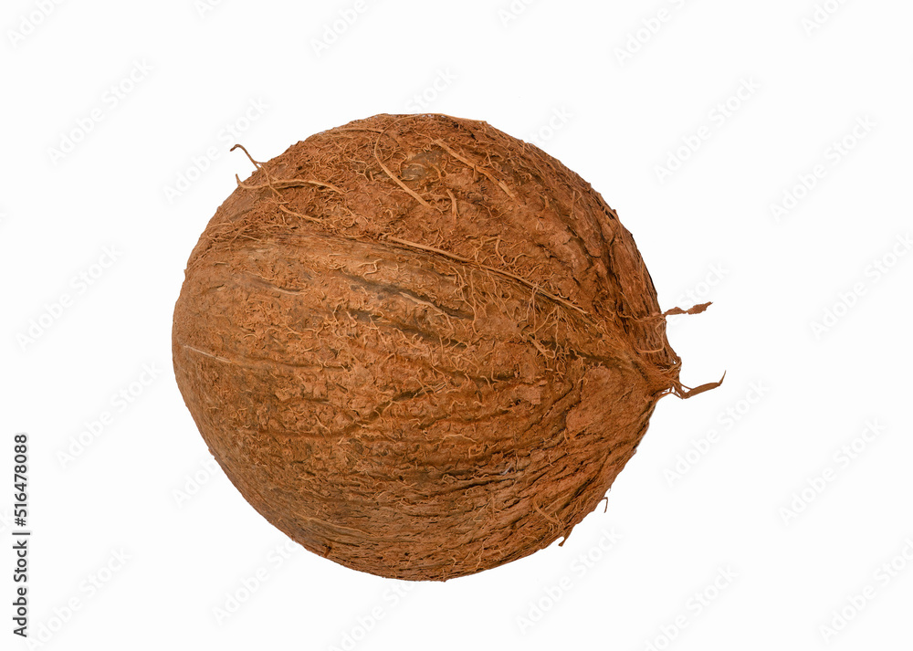 Coconut isolated. Coconut with a half on white background Coconut isolated. Coconut with a half on white background