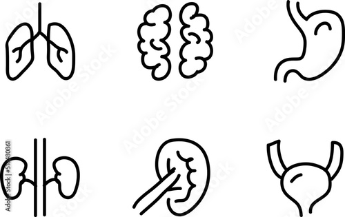  Human internal organ line icon. Minimal vector illustration with simple outline icons.eps