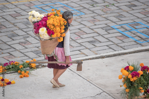 Local mexican woman carring on her back a basket with cempasuchil and various flowers.