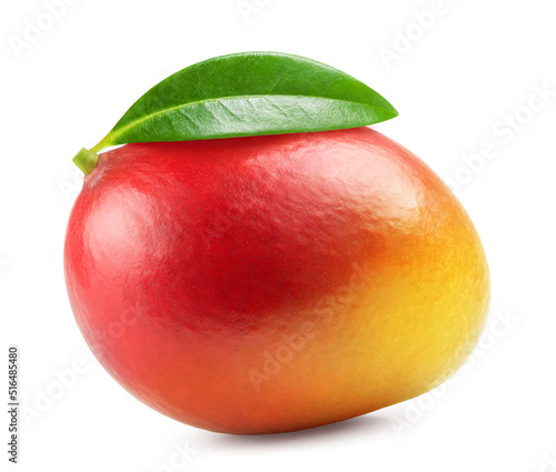 Mango isolated. Ripe red mango on a white background. Fresh fruits.
