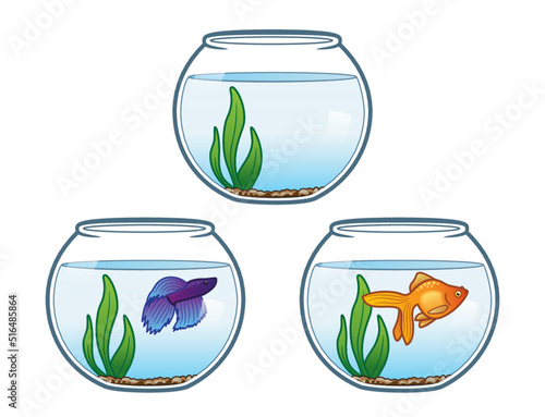 Fishbowls fish goldfish vector colorful isolated illustration