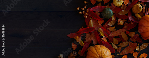 Dark wood Surface with fall themed border. photo