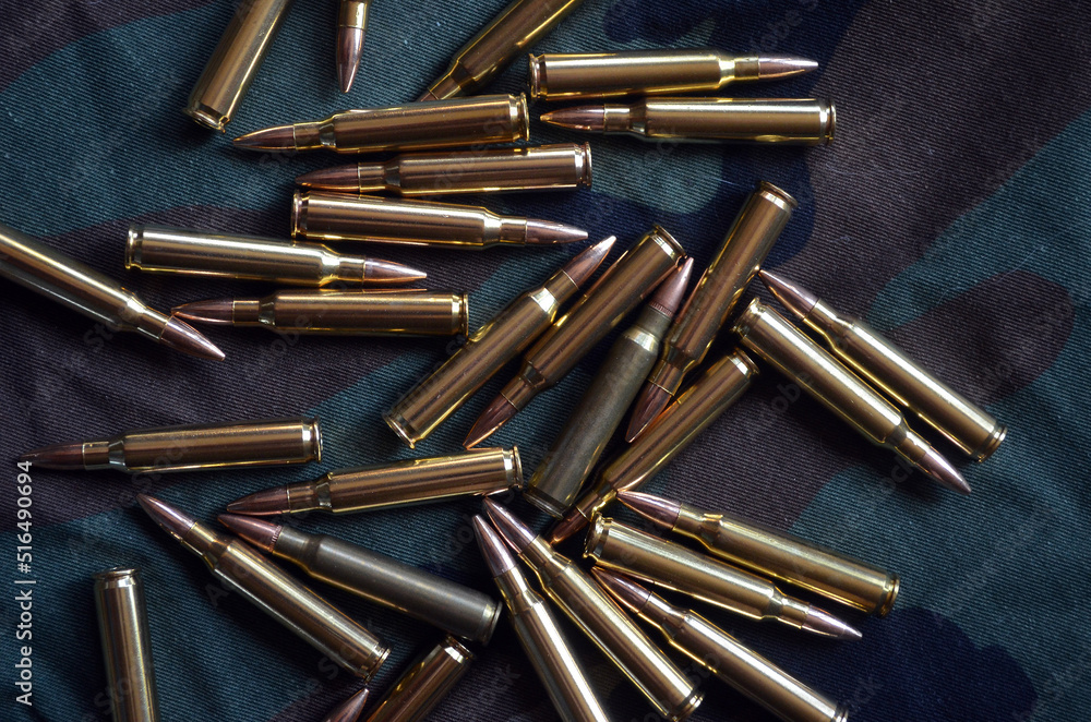 Carbine, ammo in 308 win calibre. Carbine, ammo in 308 win calibre.