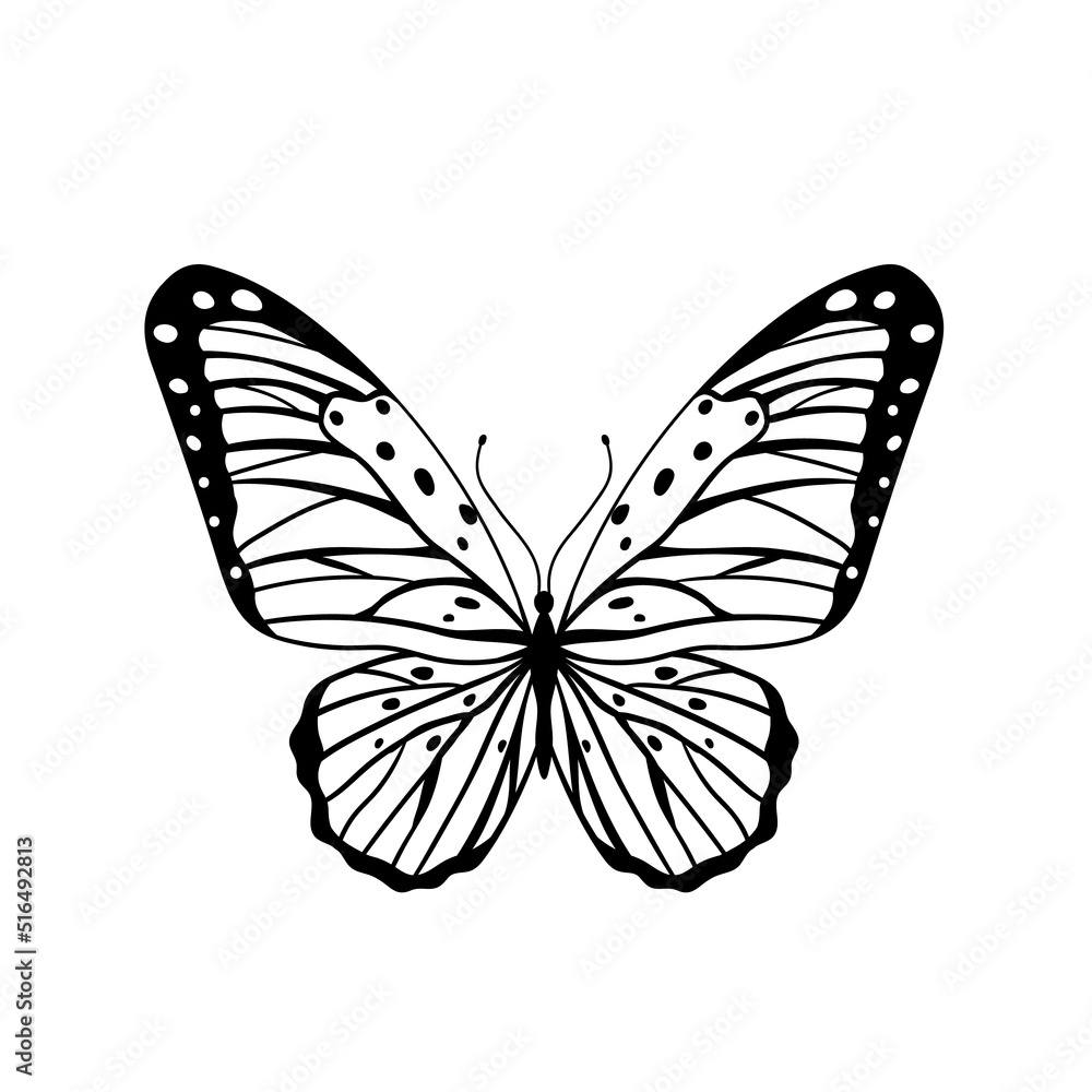 Graphic black Butterfly isolated on white background. Vector illustration Graphic black Butterfly isolated on white background. Vector illustration