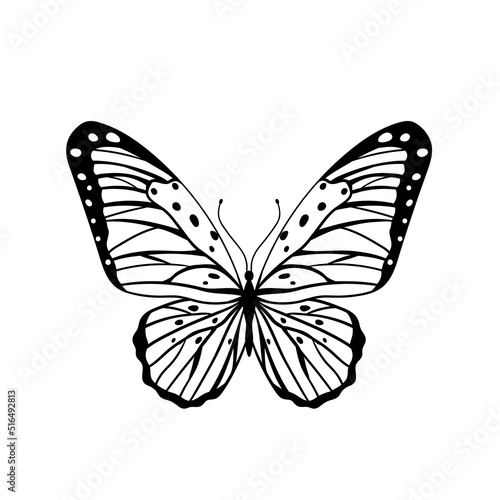 Graphic black Butterfly isolated on white background. Vector illustration