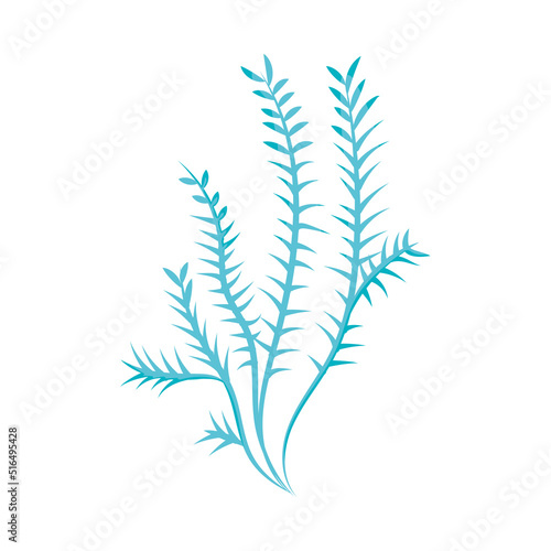 blue seaweed icon