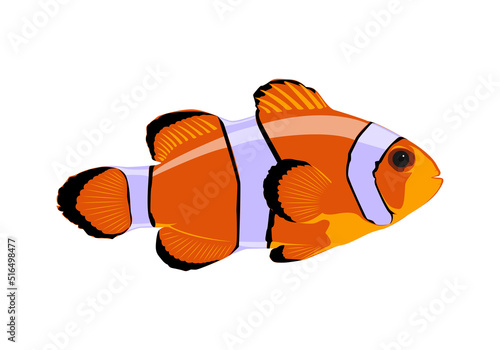  Fish on a white background.The clown fish is a marine animal that swims underwater. 
Vector illustration of cartoon amphiprion isolated on white background.
