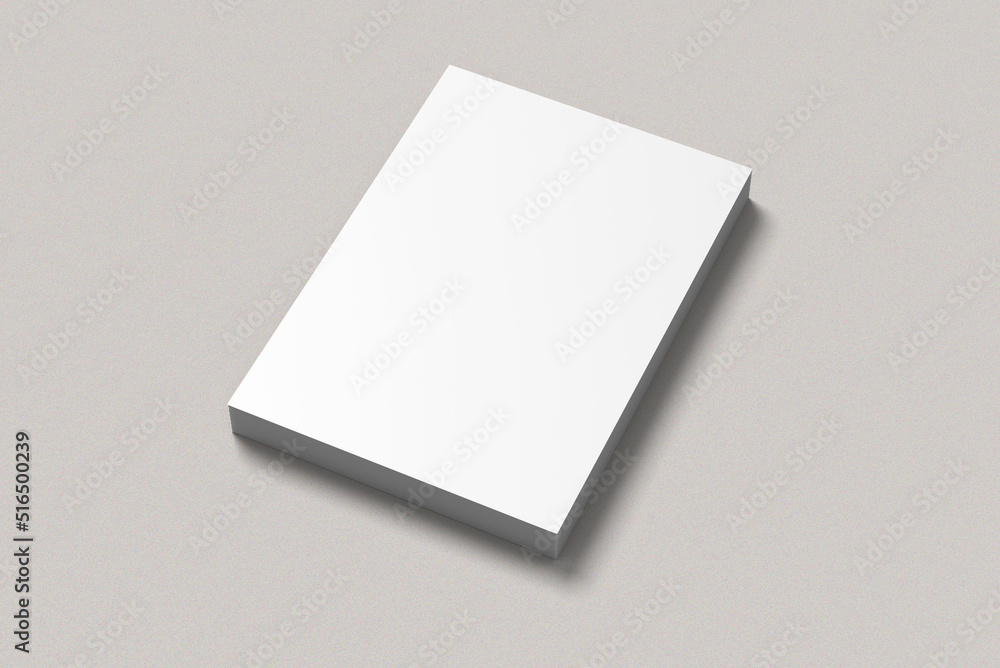 Blank flyer mockup Blank flyer mockup