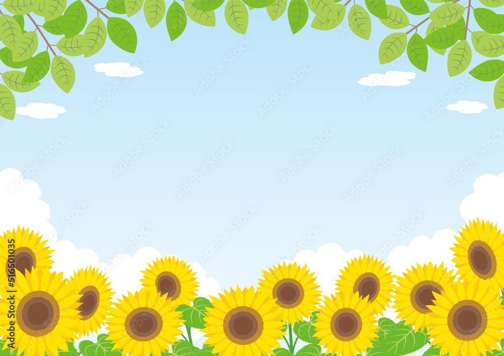 ひまわり_夏_背景_横 ひまわり_夏_背景_横