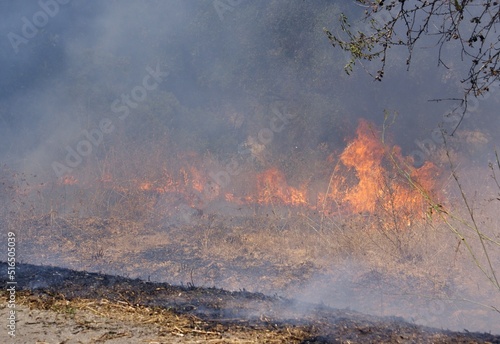 Woodfires in Portugal © insideportugal