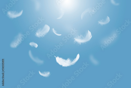 White Fluffy Feathers Floating in the Sky. Swan Feathers Flying in Heavenly.