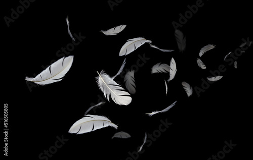 Abstract Group of White Bird Feathers Floating in The Dark. Feathers on Black Background.	
