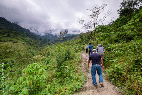 bosque humedo, Sierra de los Cuchumatanes, Quiche, República de Guatemala, América Central photo