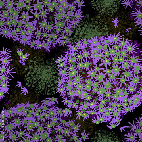 Seamless pattern purple onion flowers on a dark background. Vector illustration