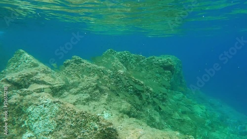 Sardinia - Spiaggia di Cala Canneddi - Cala Rossa - Looking at a shoal of fishes swimming between rocks photo