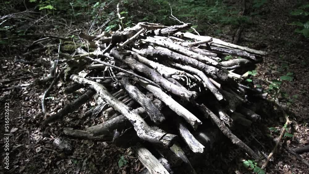 Pile of Branches stacked by the boy scouts in the forest. Pile of Branches stacked by the boy scouts in the forest.