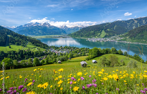 Idyllic landscape with a flower meadow, snowy mountains and a blue lake, Zell am See, Pinzgau, Salzburger Land, Austria, Europe