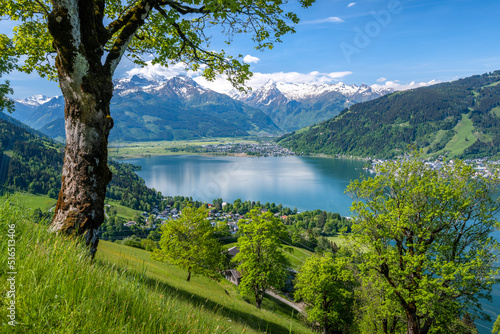 Idyllic summer landscape in Austria, Zell am See, Pinzgau, Salzburger Land, Austria, Europe