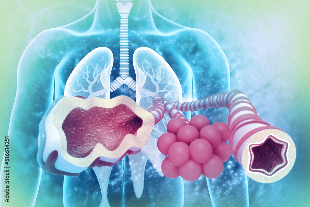 Alveoli in lungs. Cross section. 3d illustration Stock Illustration ...