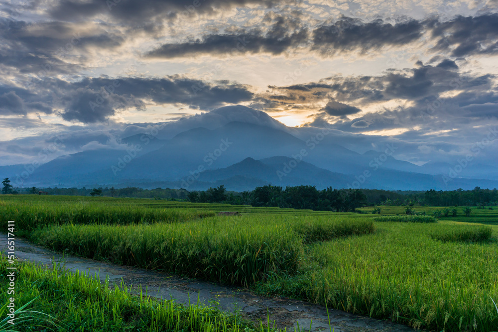 morning view on the road in the green and fertile rice field area and mountains in the early morning