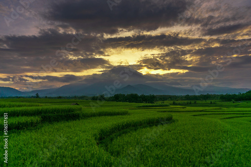 beautiful sunrise at rice fields in bengkulu, indonesia © RahmadHimawan