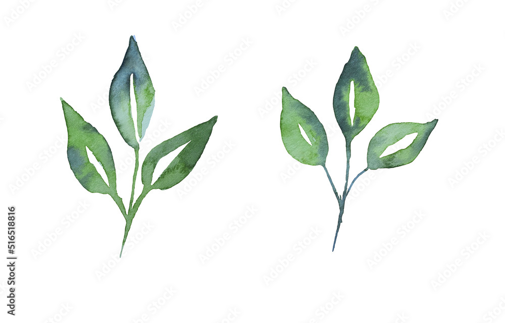 Fototapeta premium Set of watercolor floral illustrations - collection of green leaves, branches,young leaves for wedding stationery, greetings, wallpaper, fashion, background. 