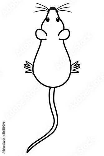 The black silhouette of a mouse top view