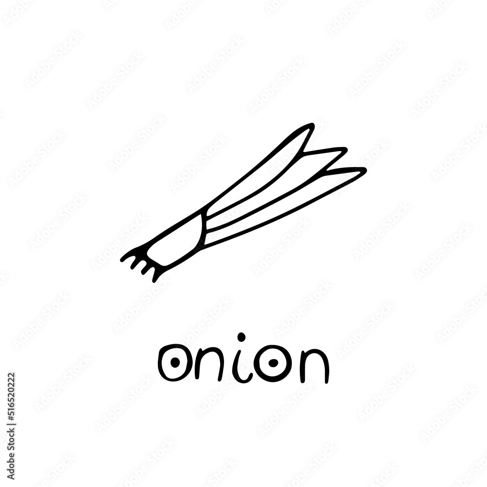 Hand drawn onion food icon. Doodle vector illustration Hand drawn onion food icon. Doodle vector illustration