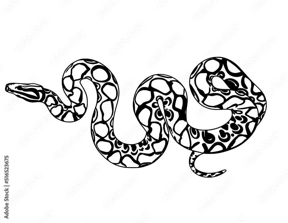Snake Snake