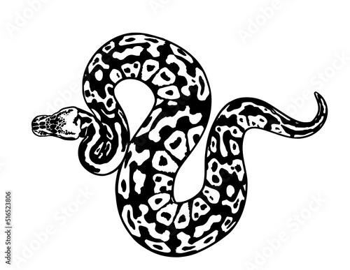 Cuadro en lienzo Snake