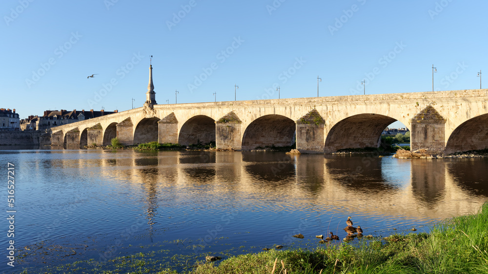 Jacques-Gabriel bridge and Loire rive in Blois city