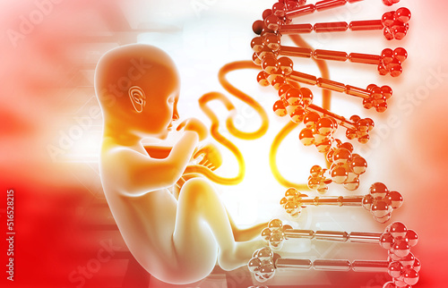 Human fetus with dna strand  on scientific background Fototapet