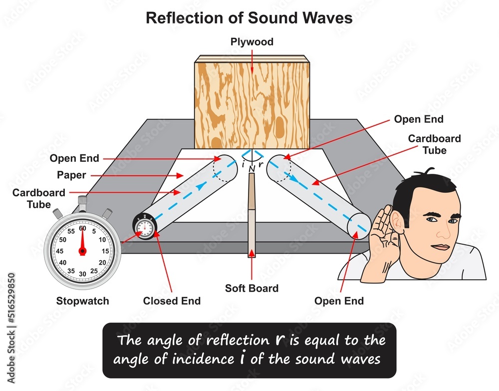 Vetor de Reflection of sound waves infographic diagram physics science