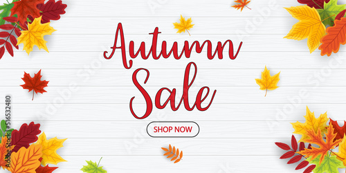 Autumn sale on wooden background. Promotion banner with fall leaves offer. Card for autumn and thanksgiving discount. Special advertising poster for shop now. Vector