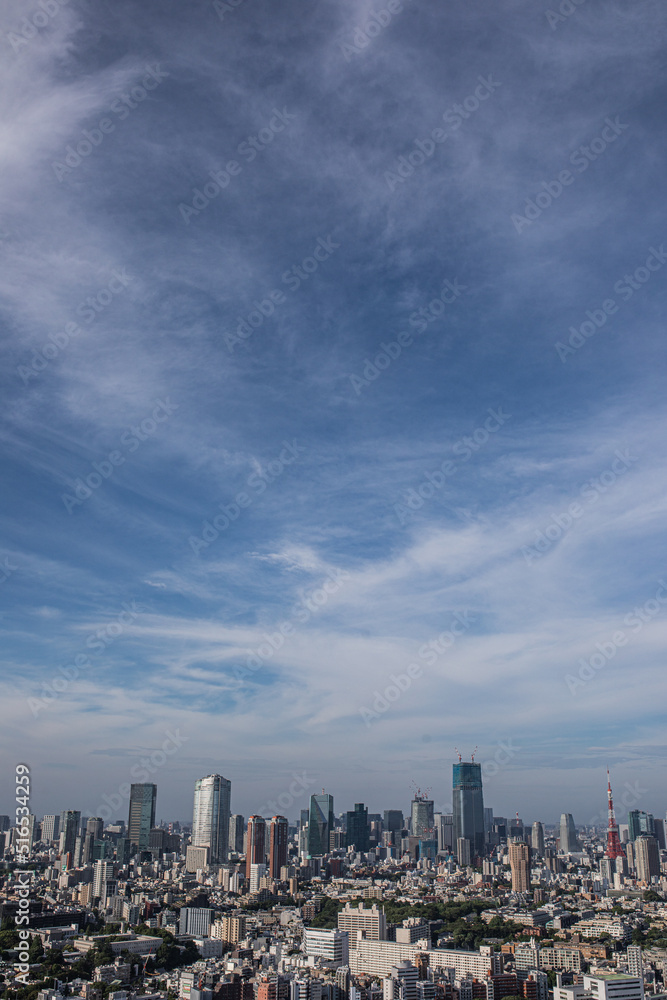 港区の街並みと青空