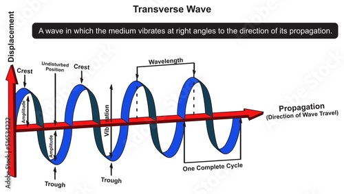 Transverse wave infographic diagram physics science education displacement propagation travel direction crest trough amplitude vibration wavelength complete cycle vector drawing illustration  photo