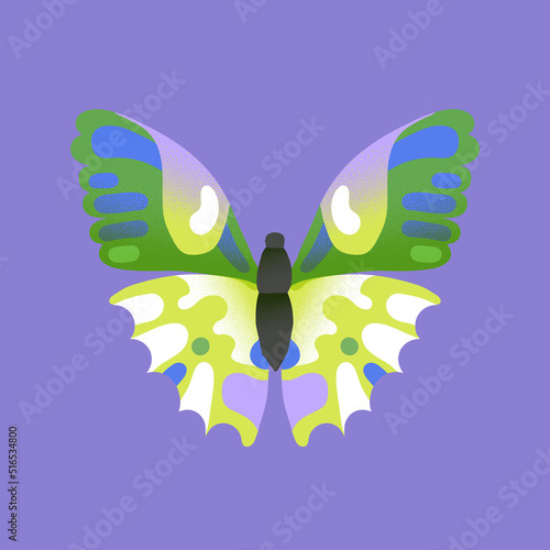 Butterfly illustration with grain effect. Bright pied color on wings with green, purple, white and blue shades. Isolated vector nature design