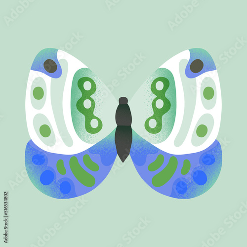 Butterfly with rounded pied wings. Moth with bright colored textures. Symmetrical insect vector illustration