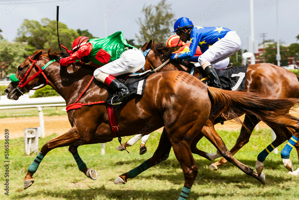 Barbados horse racing truck, Garison Savannah Barbados horse racing truck, Garison Savannah