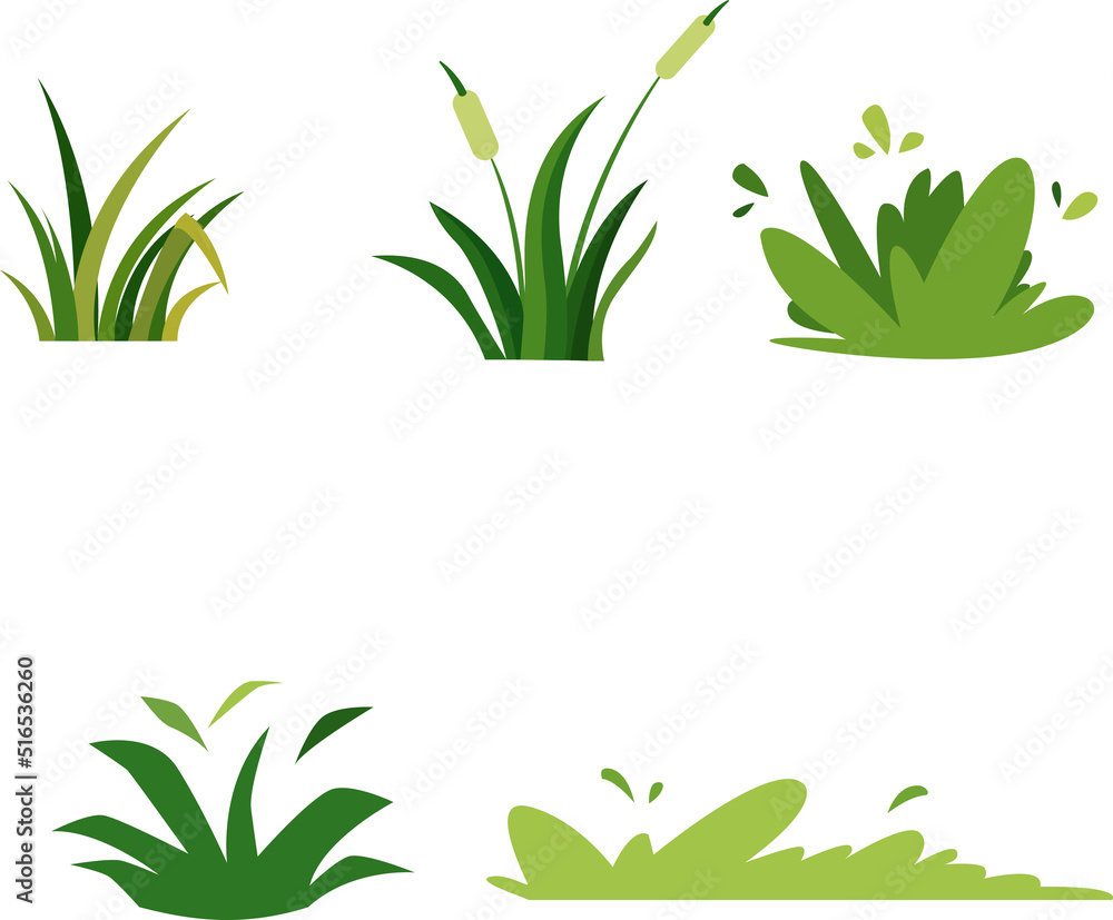 Fototapeta premium Grass Assets Version 2