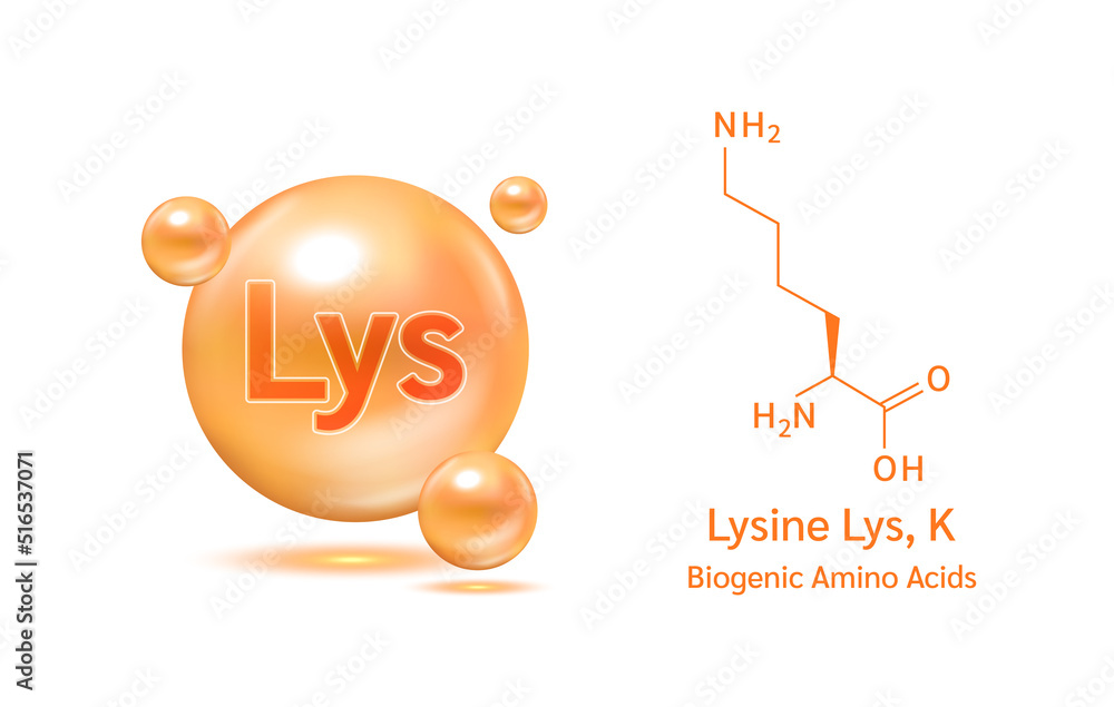 Important amino acid lysine and structural chemical formula and line model of molecule. Arginine