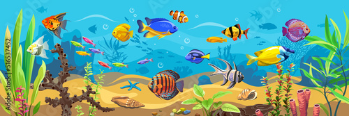 Vector ocean world. Exotic seascape with fish, seaweeds and corals. Aquatic ecosystem. Illustration of underwater life. Undersea bottom.