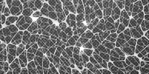Top view of the water surface with caustic ripples as a seamless pattern