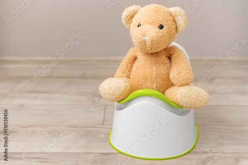 Photos A soft toy sits on a baby potty.